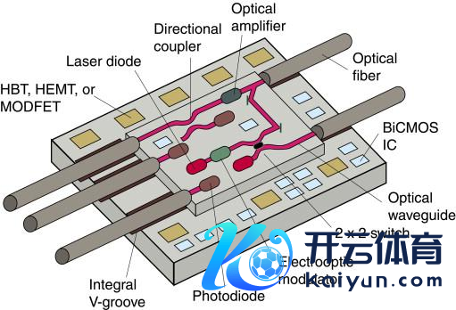 图1   一种集成光子芯片，包含了发光二极管、波导、光电二极管、定向耦合器、光子交换器等微纳元件。
