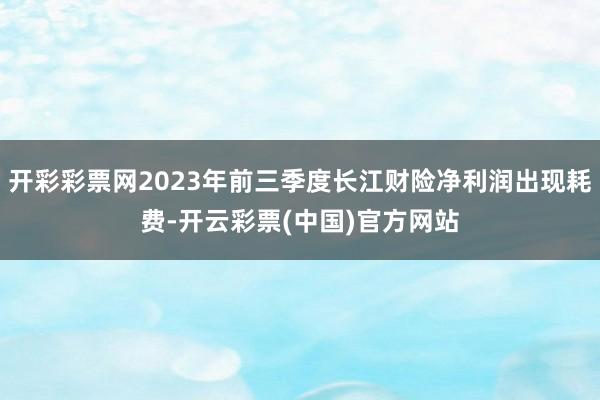 开彩彩票网2023年前三季度长江财险净利润出现耗费-开云彩票(中国)官方网站